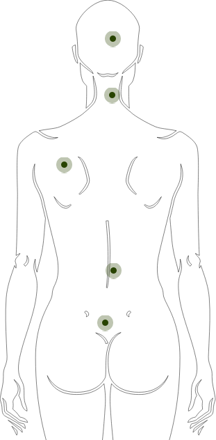 Acuhelp - Acupuncture Anatomy Back
